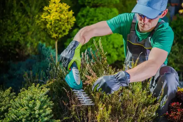 landscaping services Pleasant View